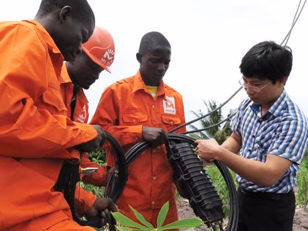 Le Mozambique est un partenaire important du Vietnam en Afrique ảnh 1