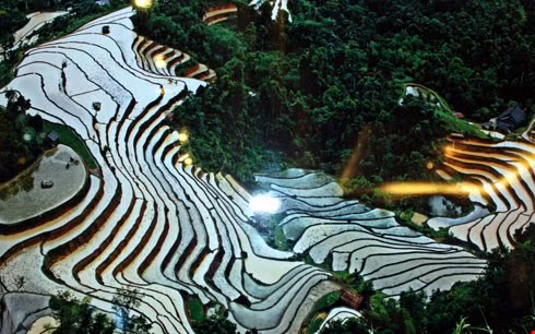 Remise des prix du Festival de photos et de films sur les nations de l’ASEAN ảnh 1