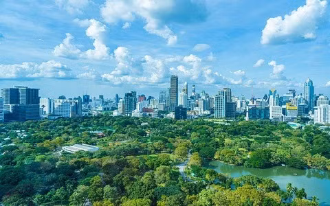 L’industrie du bois dispose d’un énorme potentiel pour augmenter les revenus issus de la vente de crédits carbone ảnh 2