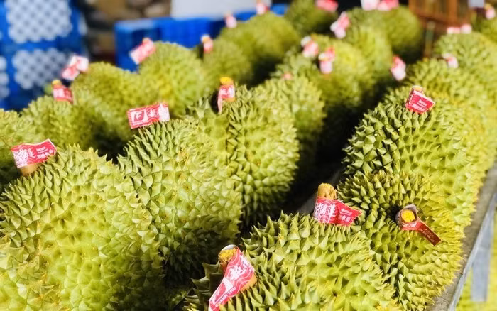 Affirmer la position du durian dans le club des produits exportations d'un milliard de dollars ảnh 1