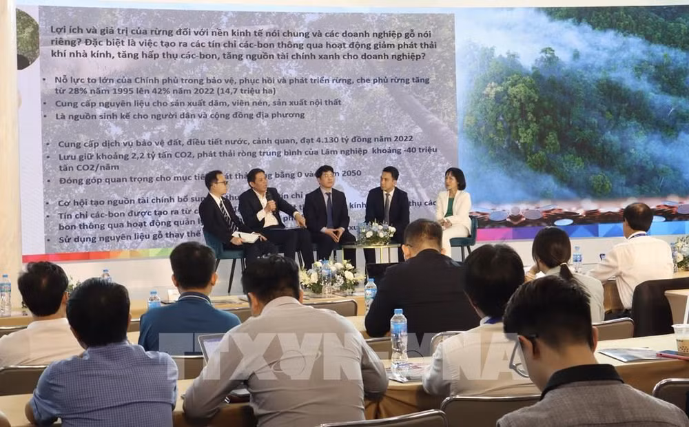 L’industrie du bois dispose d’un énorme potentiel pour augmenter les revenus issus de la vente de crédits carbone ảnh 1