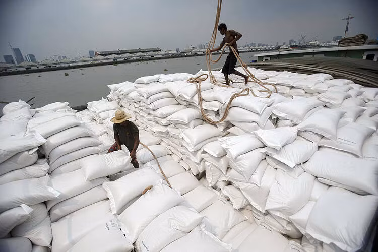 Le Vietnam peut détrôner la Thaïlande de son statut de 2e exportateur mondial de riz ảnh 1