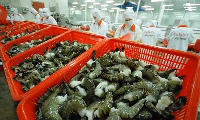 Promotion de l’exportation des produits agricoles vietnamiens au Canada ảnh 1