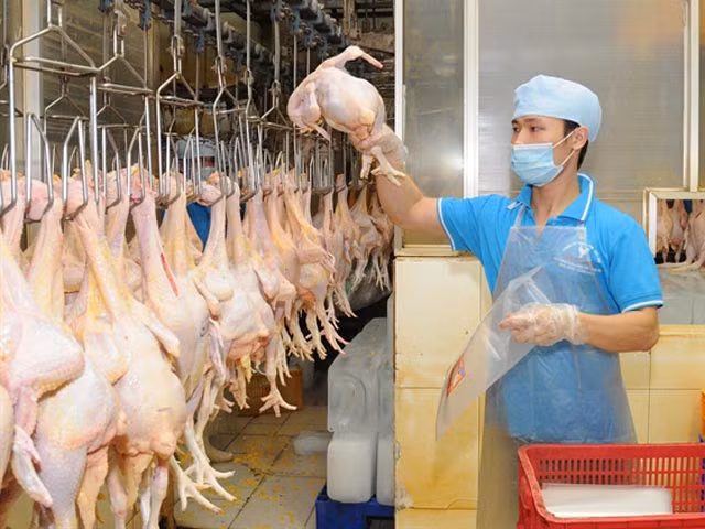 Promotion de l’export de viande de poulet au Japon ảnh 1