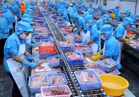 2018, une année de records économiques ảnh 3