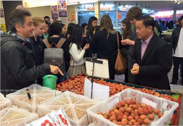 L’intégration internationale aide le Vietnam à élargir ses marchés de produits agricoles ảnh 1