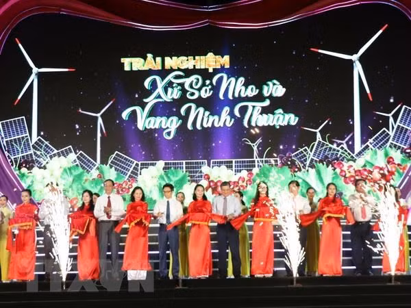 Ouverture de la Fête du vin et des raisins de Ninh Thuân 2019 ảnh 1