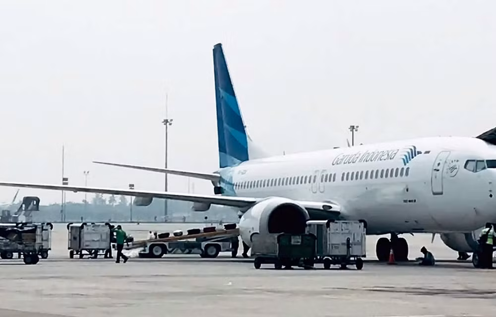 Perdant la confiance dans Boeing, Garuda se tourne vers Airbus ảnh 1