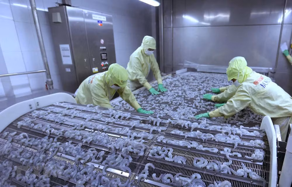 Le secteur aquacole fête son 60e anniversaire ảnh 1