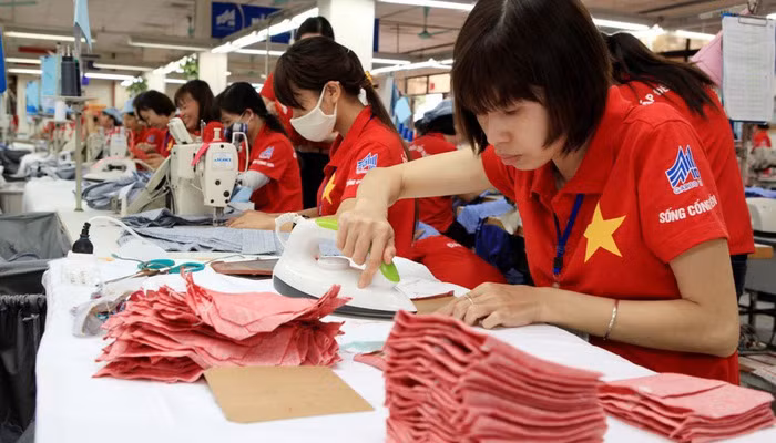  Le CPTPP offre des opportunités d'exportations vietnamiennes au Japon ảnh 1