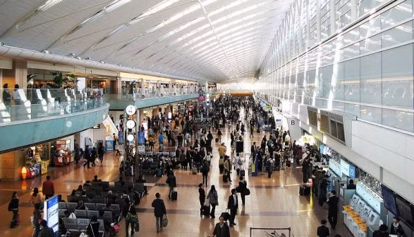 Les passagers aériens ne doivent pas amener des produits alimentaires au Japon ảnh 1