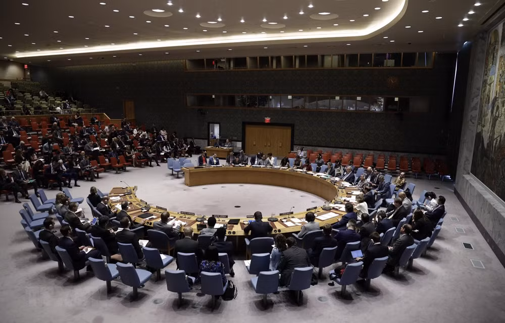 Le Vietnam prendra la présidence du Conseil de sécurité en janvier 2020 ảnh 1