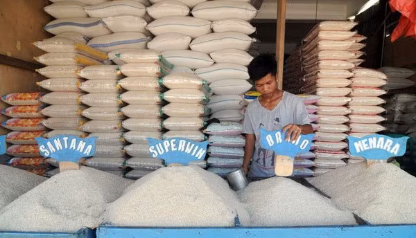 L'Indonésie exportera 100.000 tonnes de riz vers dix pays asiatiques et européens ảnh 1