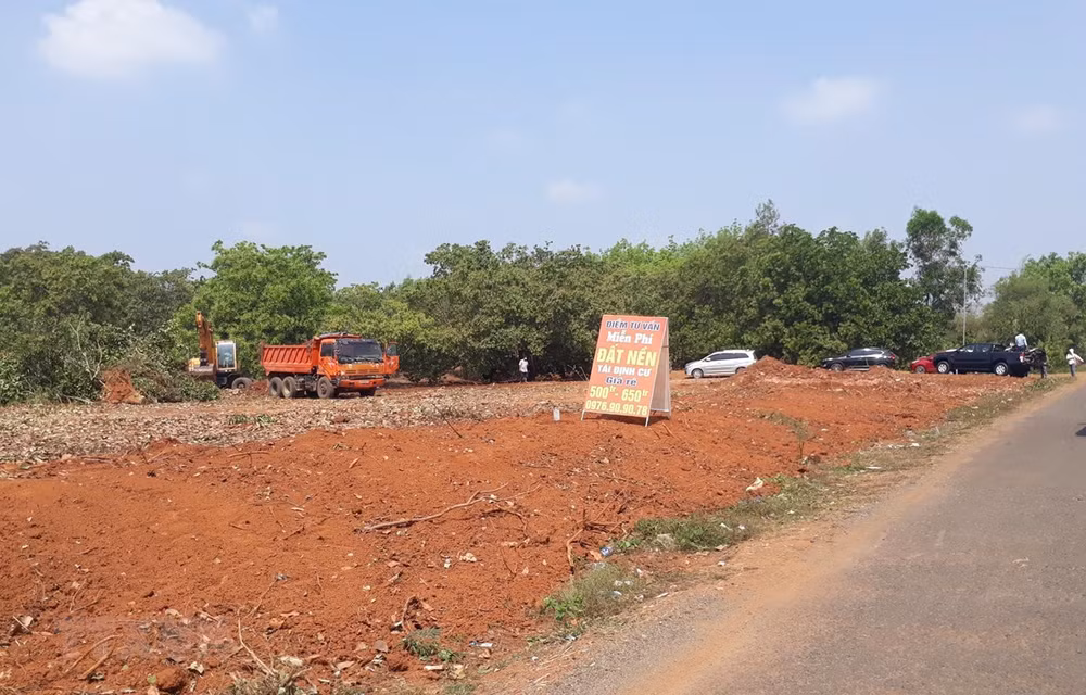 Le marché immobilier rebondira fortement une fois la pandémie maîtrisée ảnh 2