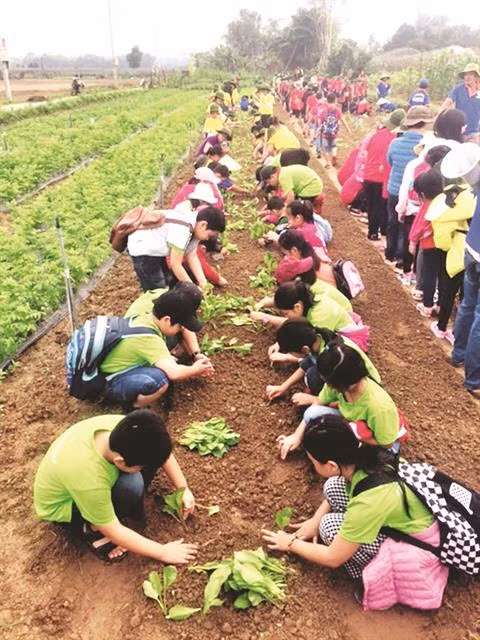 Quand les champs deviennent des classes à Dà Nang ảnh 1