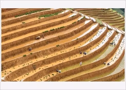 Quatre photos du Vietnam dans le Top 50 mondial 2019 ảnh 1