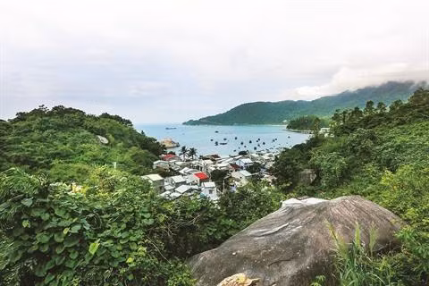 Cù Lao Chàm, une réserve de biosphère originale et caractéristique ảnh 1