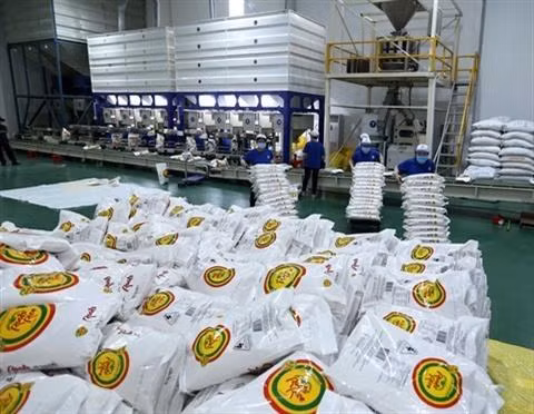Le Vietnam a exporté deux milliards de dollars de riz ảnh 1
