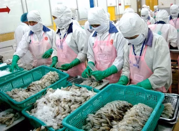 Les crevettes vietnamiennes bien appréciées au Japon, en Chine et aux Etats-Unis ảnh 1