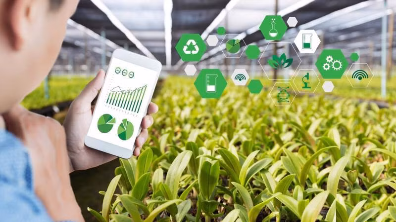 La digitalisation contribue à promouvoir le développement durable de l’agriculture ảnh 1