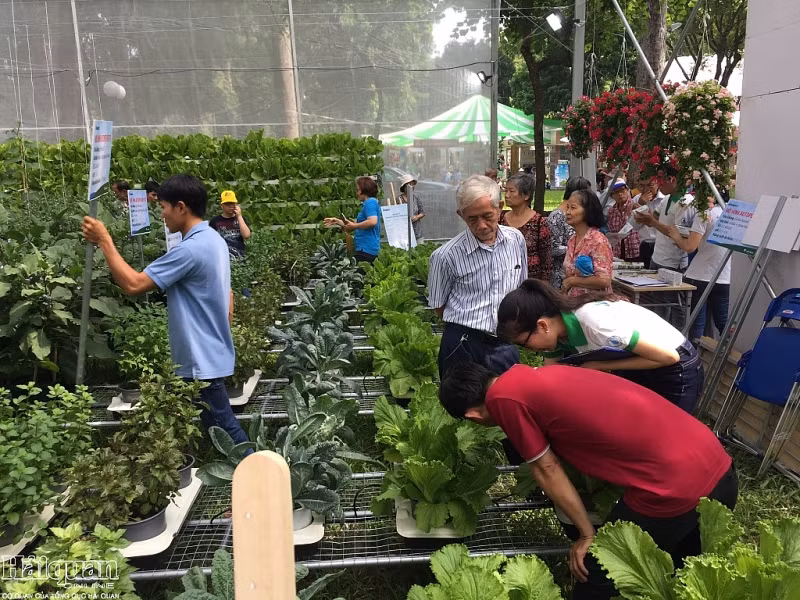 HCM-V: forte croissance de la valeur de production agricole en 2019 ảnh 1