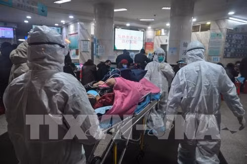Un premier cas de coronavirus confirmé aux Philippines ảnh 1