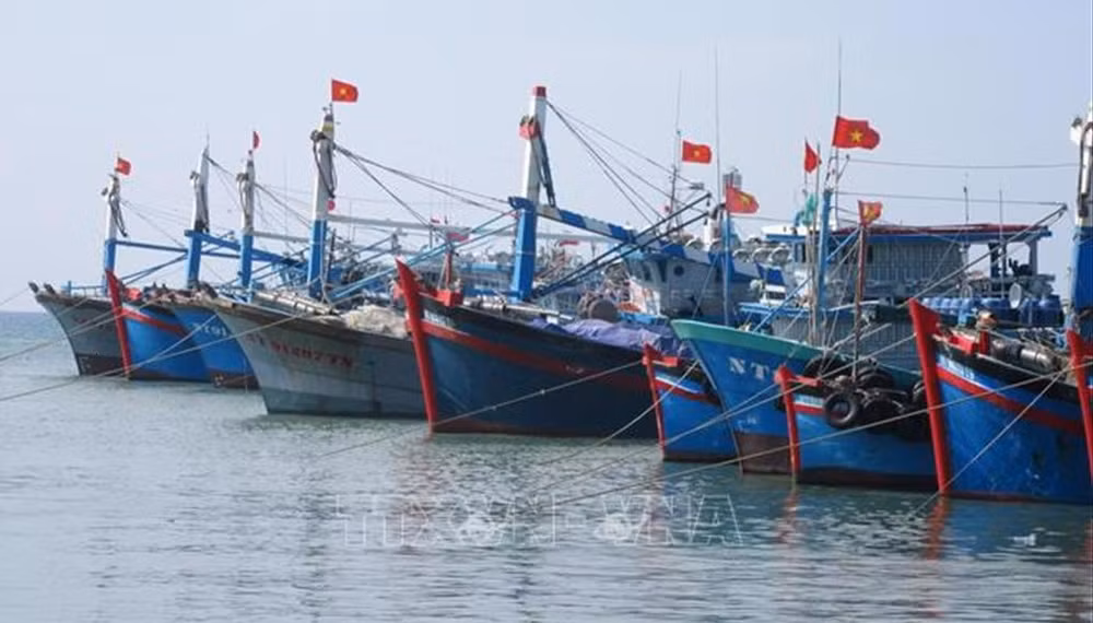 INN : la communauté des pêcheurs s’engage à la lutte contre la pêche illégale ảnh 1