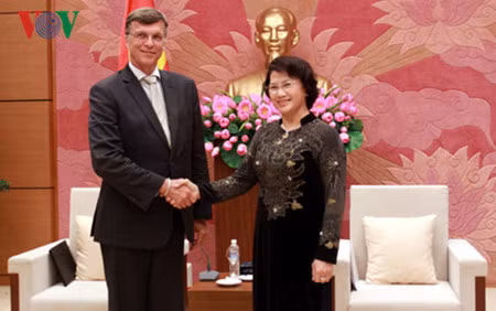 La vice-présidente de l’AN Nguyen Thi Kim Ngan reçoit les ambassadeurs chinois et australien ảnh 2