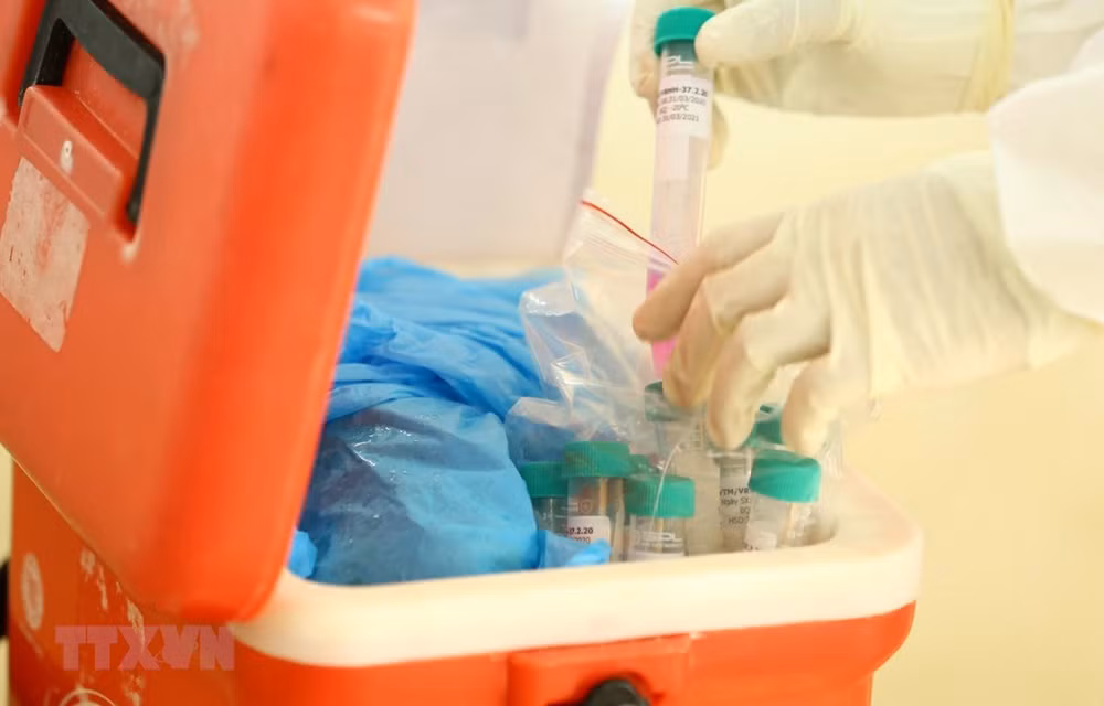 COVID-19: le Vietnam confirme le 11e décès ảnh 1