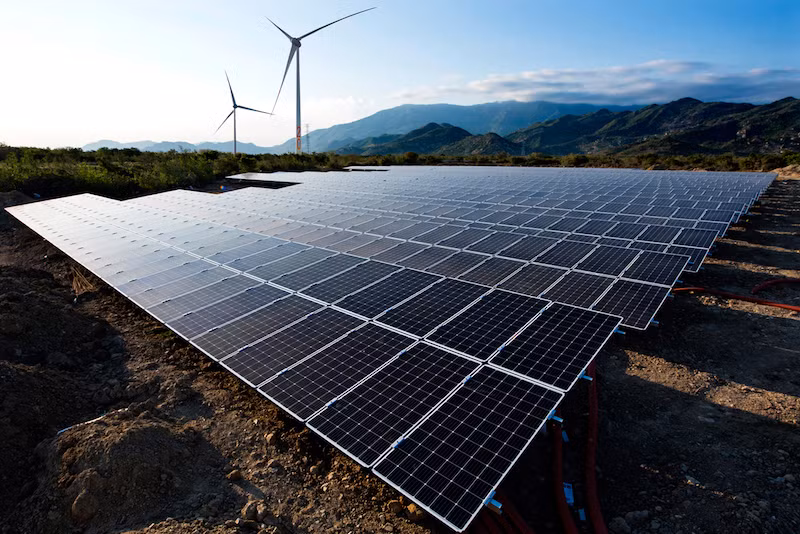 Mise en service d'un parc éolien à Ninh Thuan ảnh 1