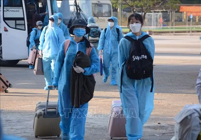 COVID-19: Pas de nouveau cas de transmission locale pour le 44e jour consécutif ảnh 1