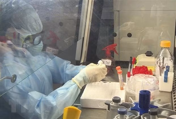 Le Vietnam pourrait avoir la réponse la plus efficace au COVID-19 ảnh 1