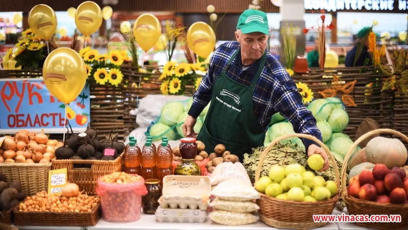 Large accès au marché russe pour les exportations vietnamiennes ảnh 1