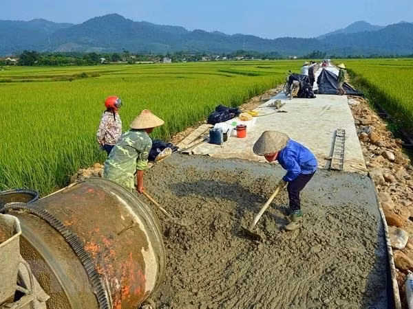 Hanoï prévoit d'avoir 10 districts répondant aux normes de la Nouvelle ruralité ảnh 1