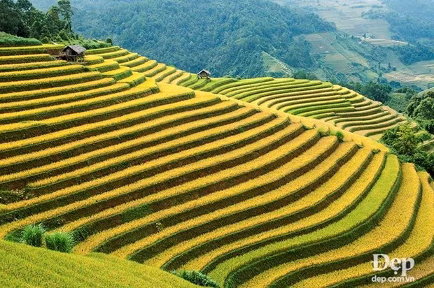 De beaux endroits à ne pas manquer à Mu Cang Chai ảnh 4