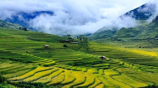 De beaux endroits à ne pas manquer à Mu Cang Chai ảnh 1