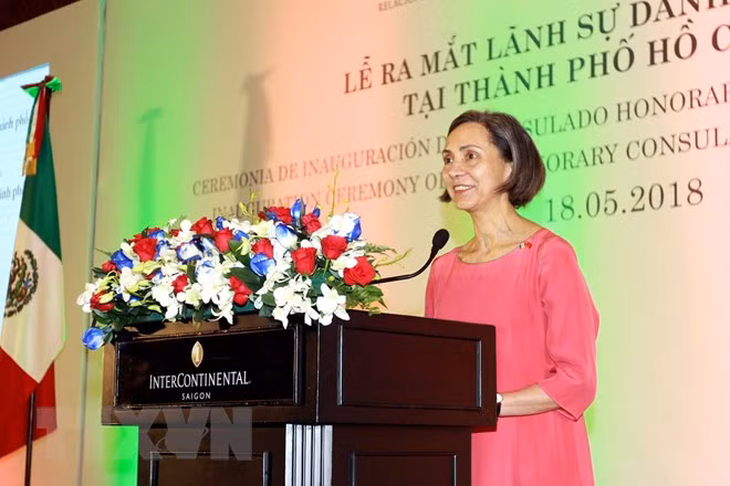 Le consulat d'honneur du Mexique à Ho Chi Minh-Ville voit le jour ảnh 1