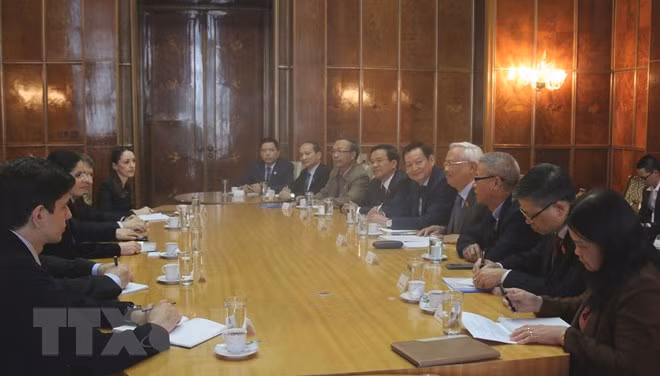 La Roumanie souhaite promouvoir ses relations multiformes avec le Vietnam ảnh 1