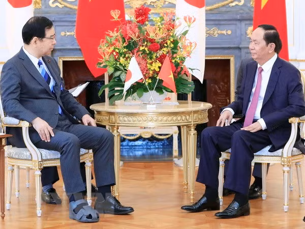 Vietnam-Japon : Tran Dai Quang appelle à intensifier les relations entre les deux partis communistes ảnh 1