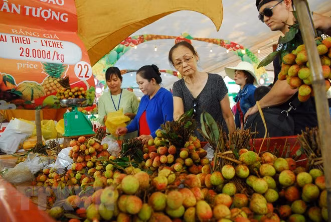 Le Festival des fruits du Nam Bô 2018 prévu en juin ảnh 1