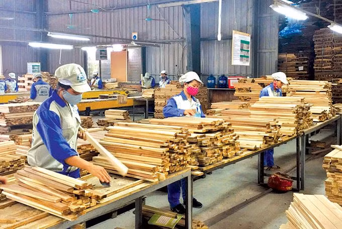 La filière bois du Vietnam face à de nouvelles opportunités de développement ảnh 1