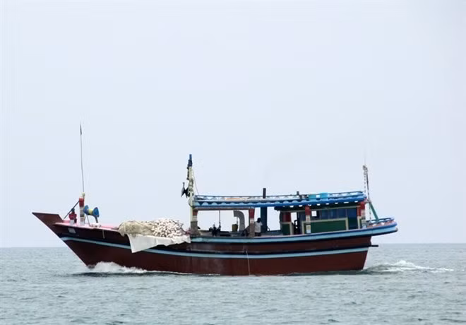 La Malaisie applique des mesures sévères pour les pêcheurs étrangers illégaux ảnh 1