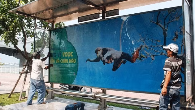 Dà Nang : une campagne de protection des doucs sur les abribus ảnh 1