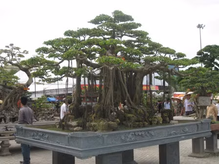 Festival des plantes ornementales et des animaux de compagnie à Hanoi ảnh 1