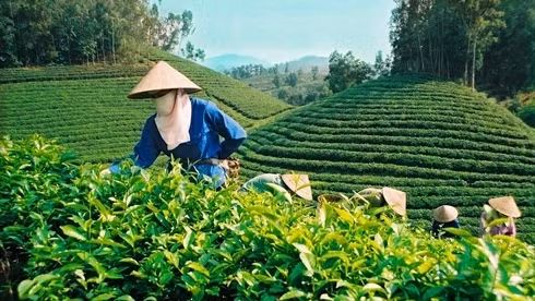 Thai Nguyên: Ouverture de la saison du tourisme 2016 ảnh 1