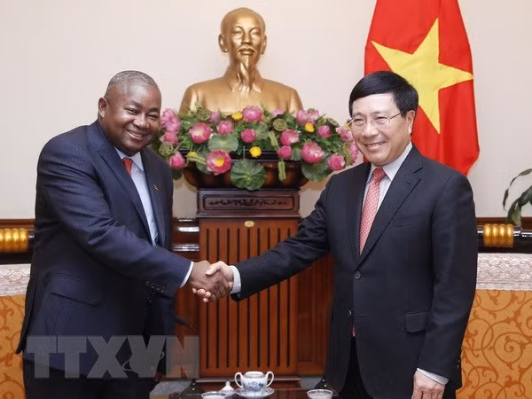 Le vice-Premier ministre Pham Binh Minh reçoit le nouvel ambassadeur mozambicain ảnh 1