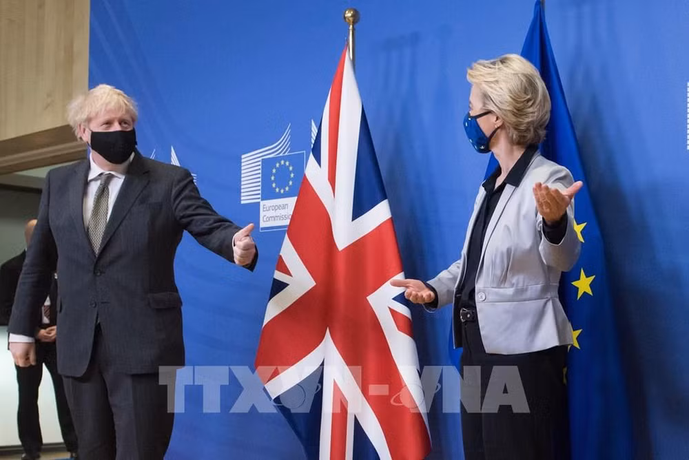 Dix événements économiques mondiaux remarquables en 2020 ảnh 6