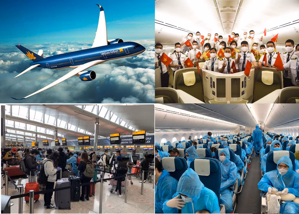 COVID-19 : plus de 350 citoyens vietnamiens rapatriés des États-Unis et du Japon ảnh 1
