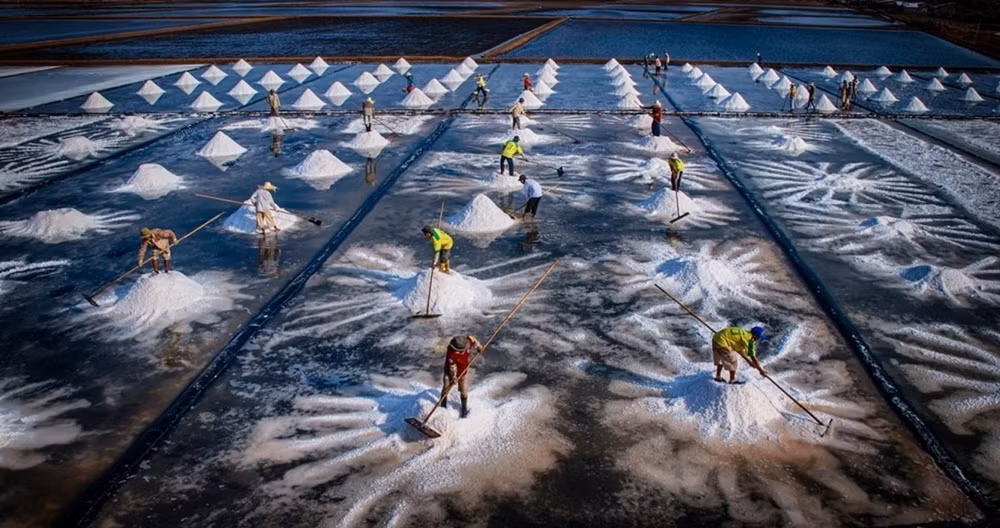 Le Vietnam remporte deux prix d'or au concours international de photos Contrast 2020 ảnh 6