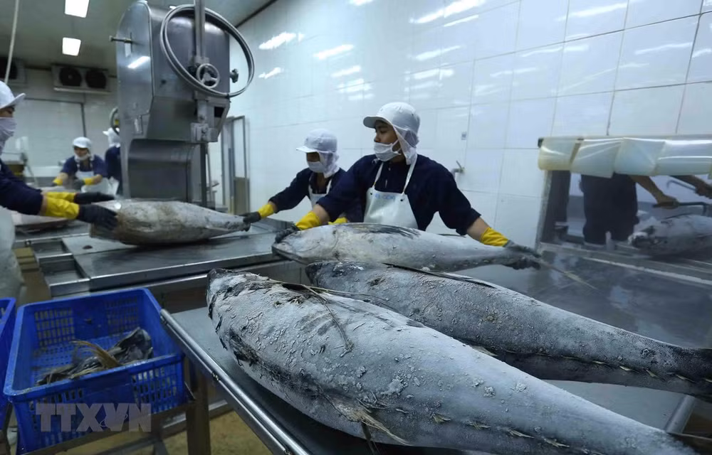 Vietnam-Israël : Les échanges commerciaux dépassent 236 millions de dollars en deux mois ảnh 1
